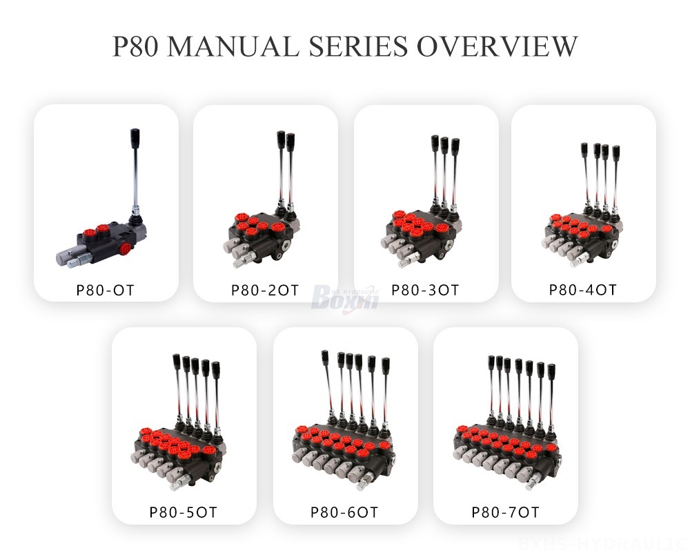 P80-Manual-Series-Vista general