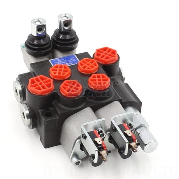 P40 Microinterruptor_Manual_2_monobloque-1